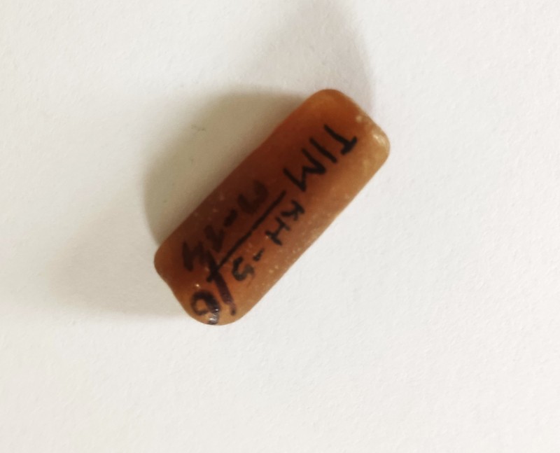 Белемніт (ростр)