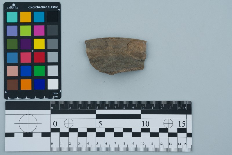 Вінчик посудини