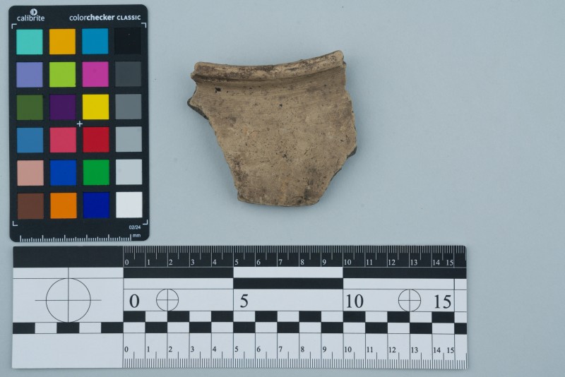 Вінчик посудини