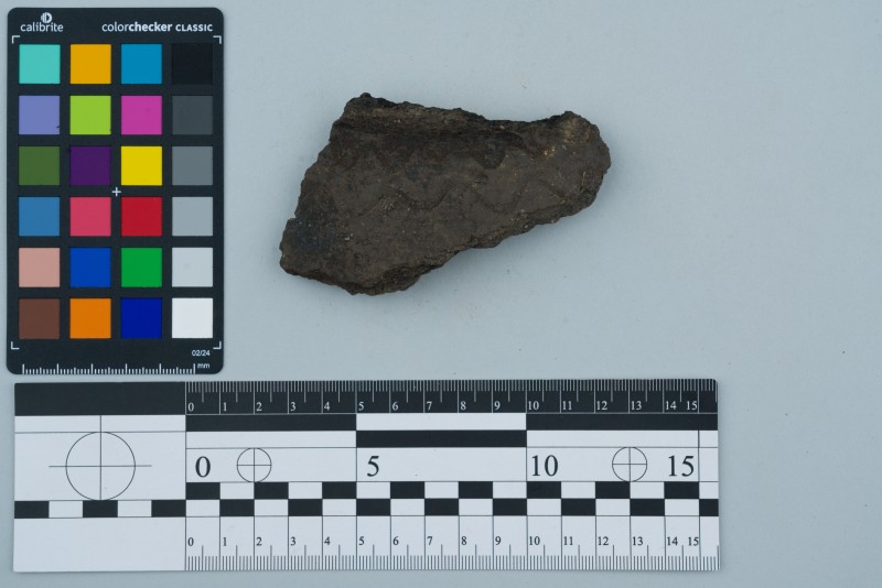 Вінчик посудини