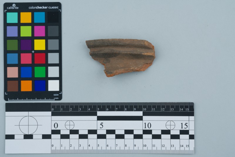 Вінчик посудини