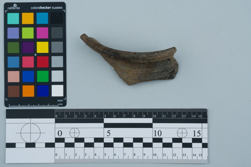 Вінчик посудини