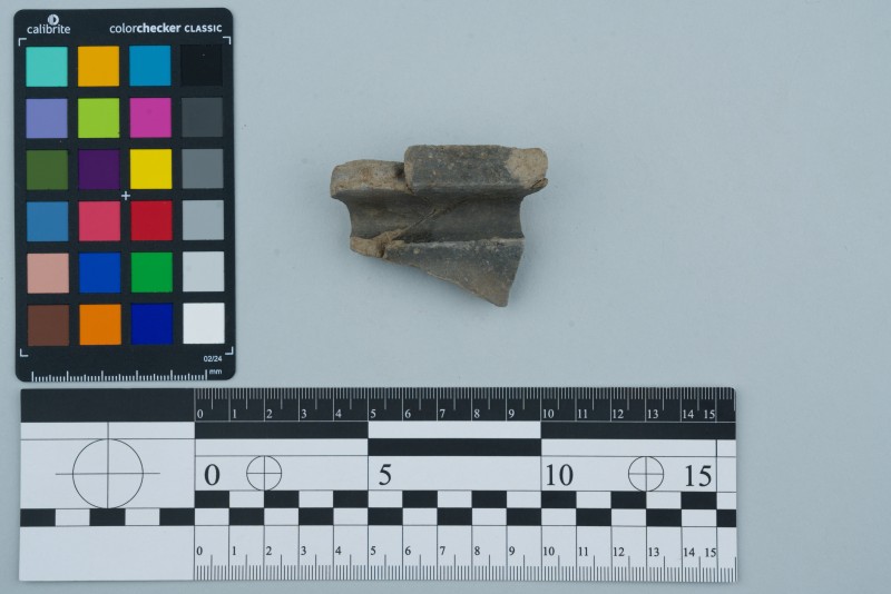 Вінчик посудини