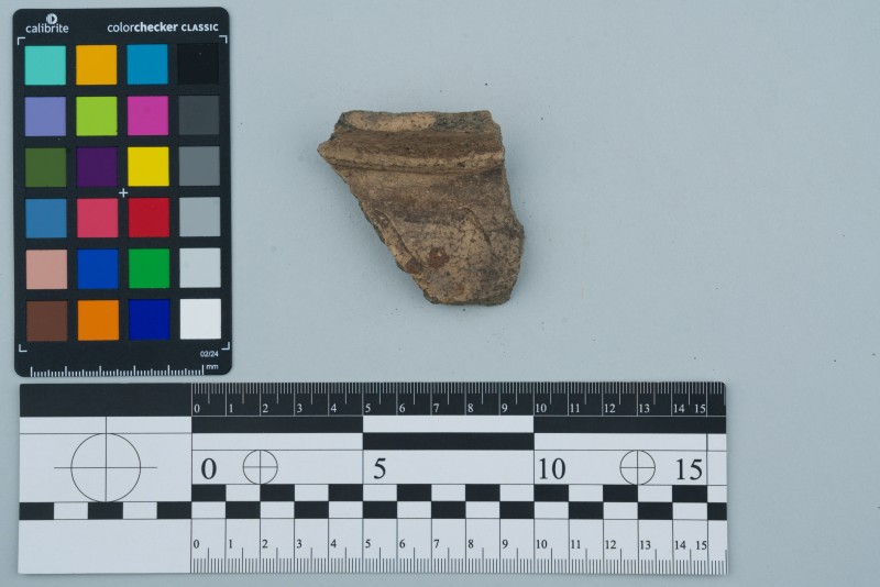 Вінчик посудини