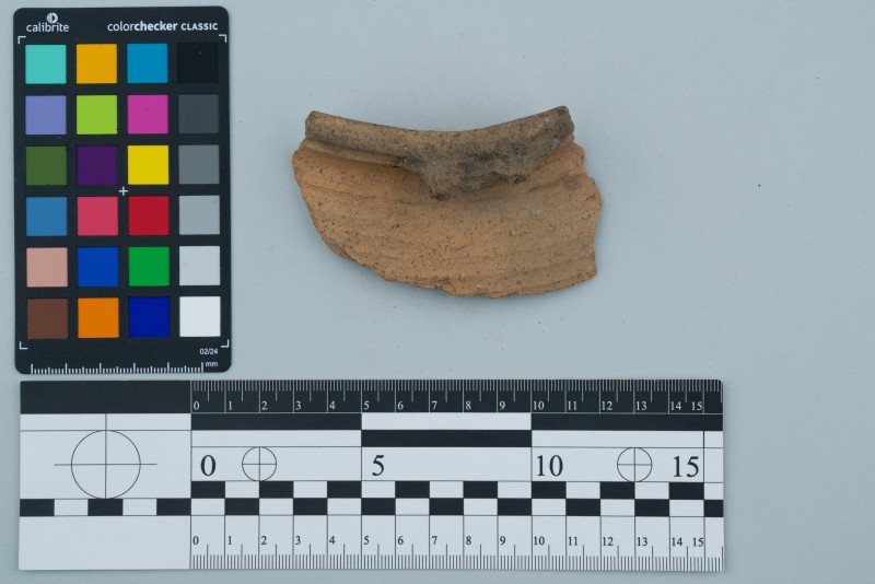 Вінчик посудини