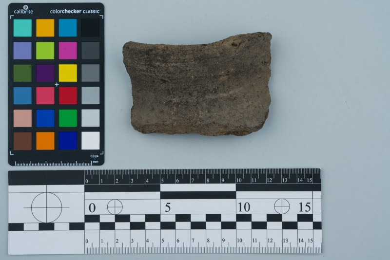 Вінчик посудини