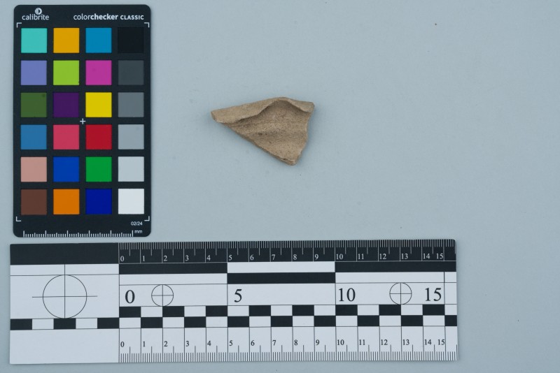 Вінчик посудини