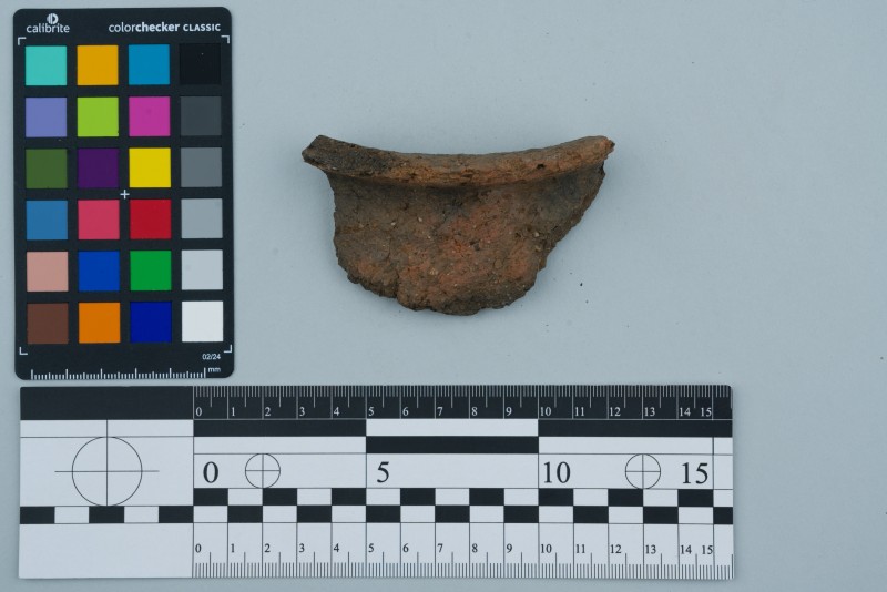 Вінчик посудини