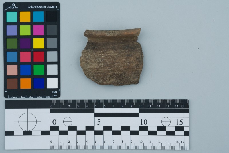 Вінчик посудини