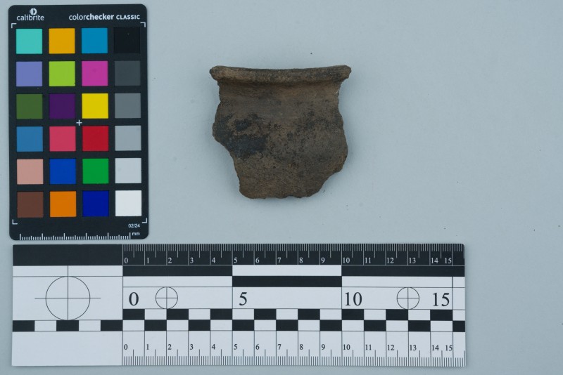 Вінчик посудини