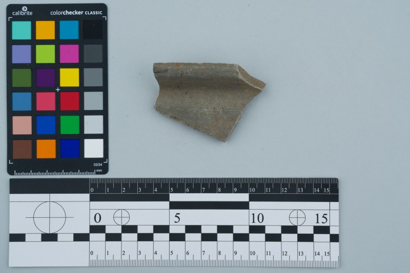 Вінчик посудини