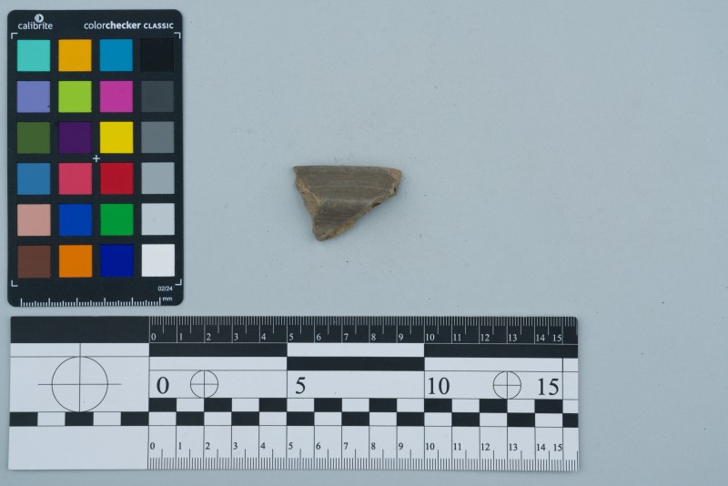 Вінчик посудини