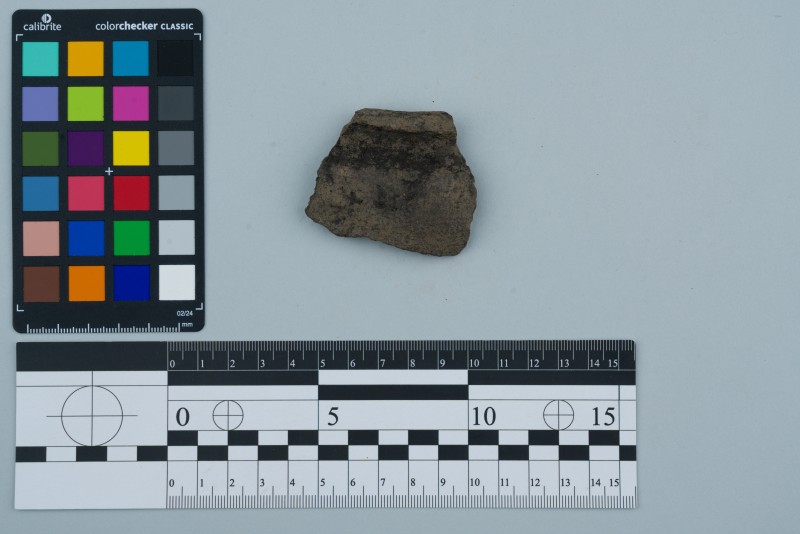 Вінчик посудини