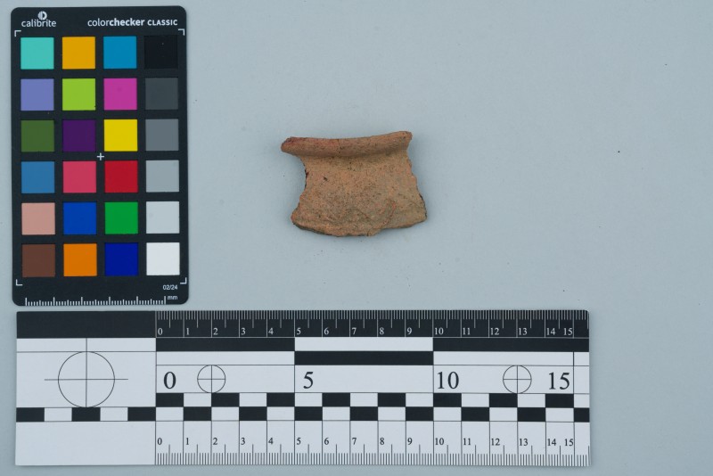 Вінчик посудини