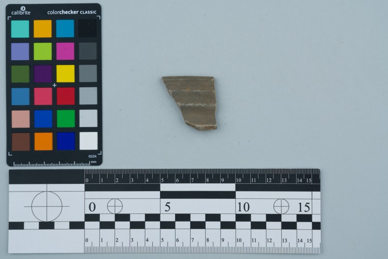 Вінчик посудини