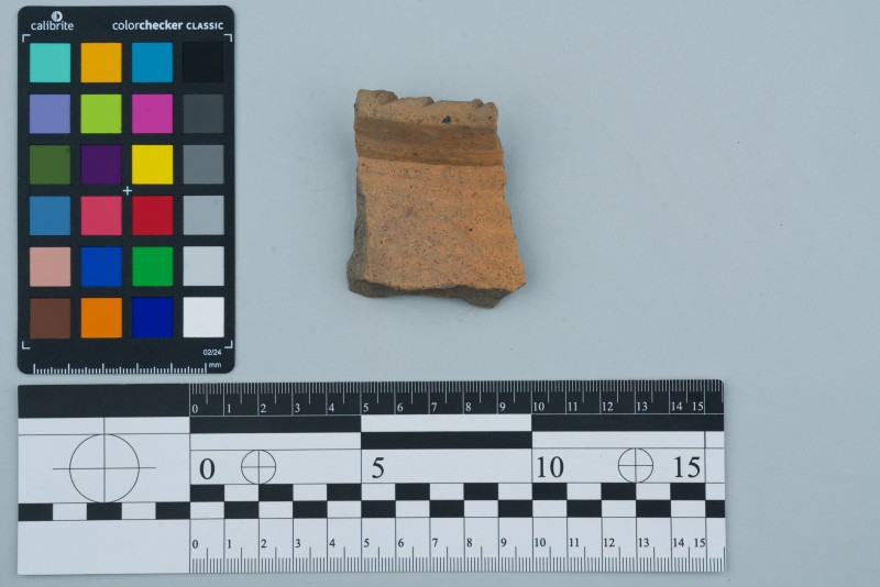 Вінчик посудини