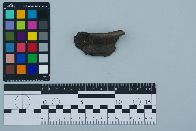 Вінчик посудини