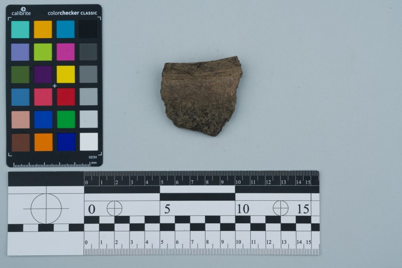 Вінчик посудини