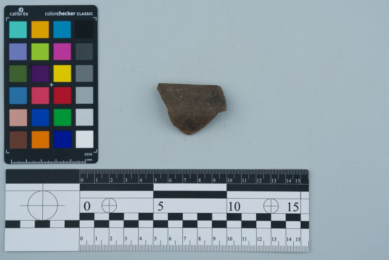 Вінчик посудини