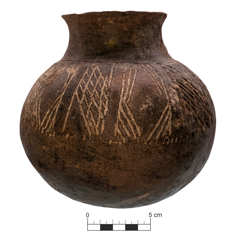 Посудина глекоподібна