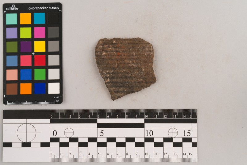 Боковина посудини