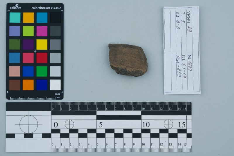 Вінчик посудини