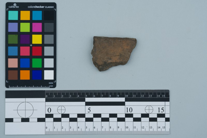 Вінчик посудини