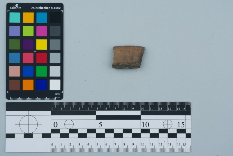 Вінчик посудини