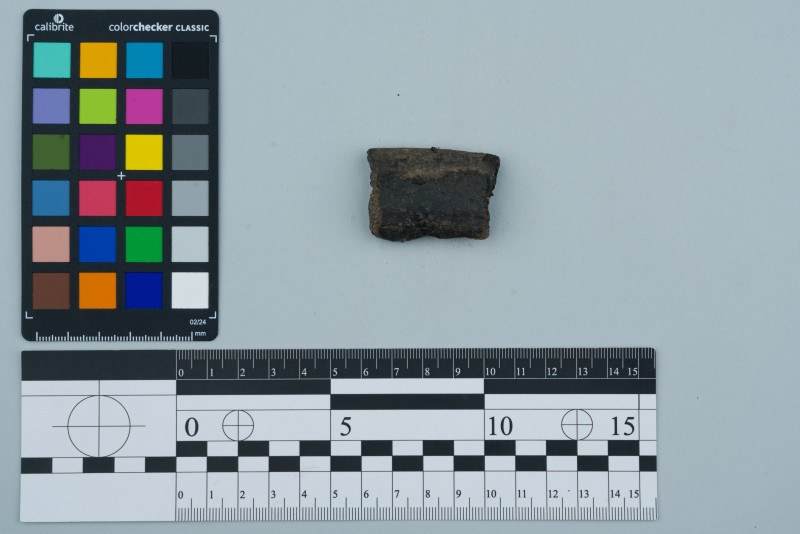 Вінчик посудини