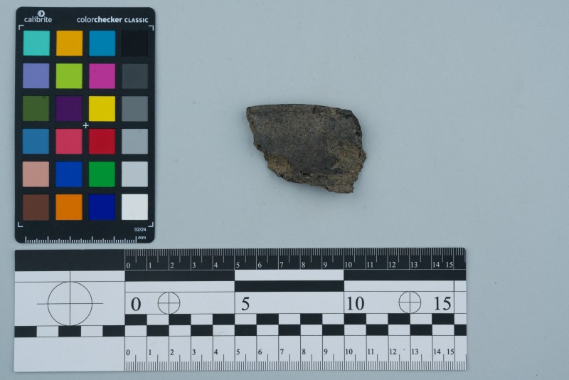 Вінчик посудини