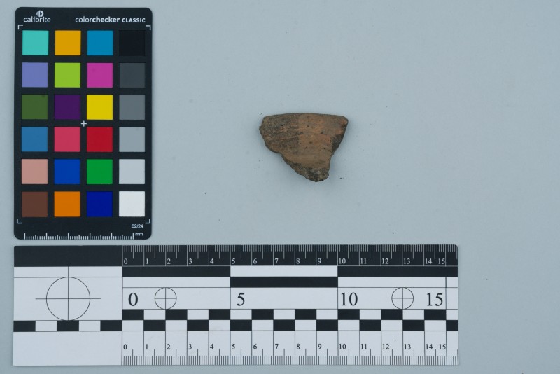 Вінчик посудини