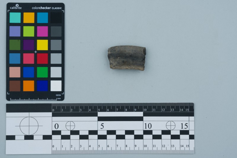 Вінчик посудини