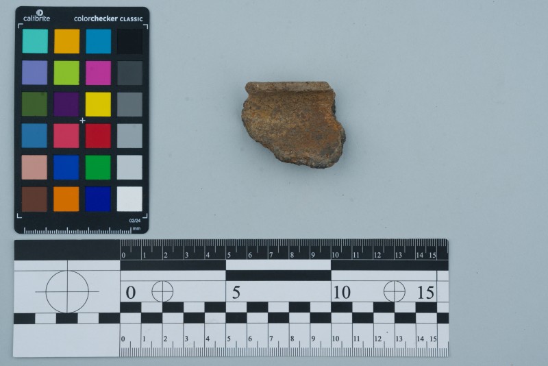 Вінчик посудини