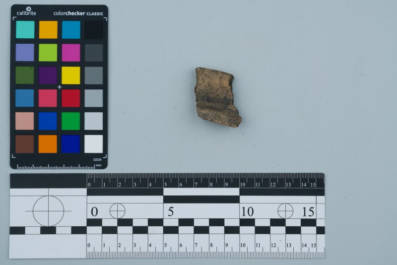 Вінчик посудини