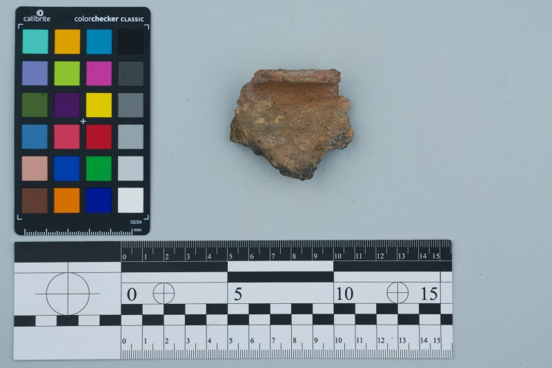 Вінчик посудини