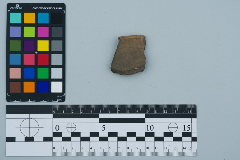 Вінчик посудини