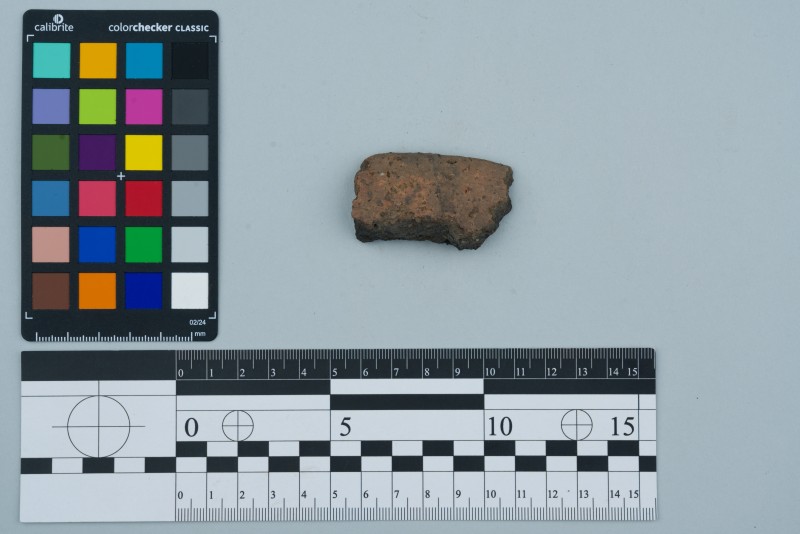 Вінчик посудини