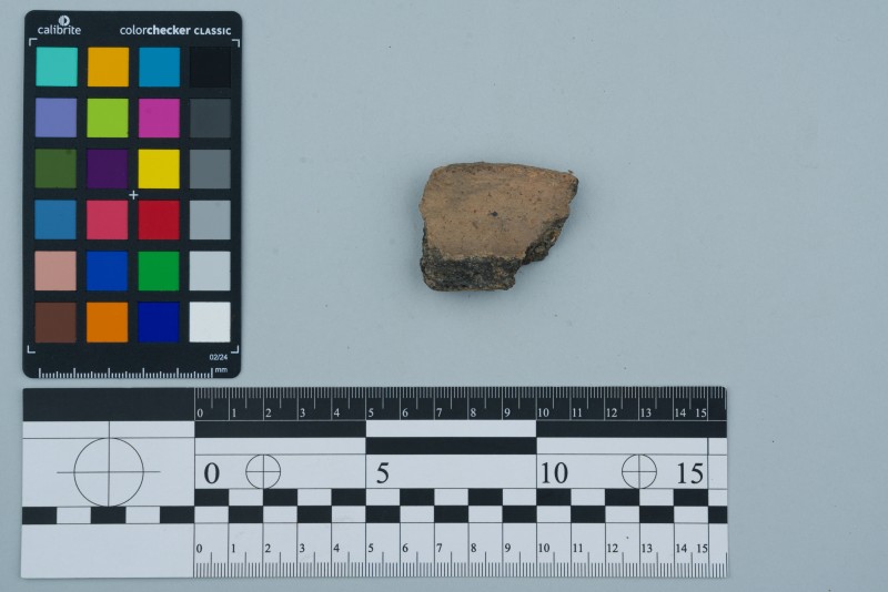 Вінчик посудини