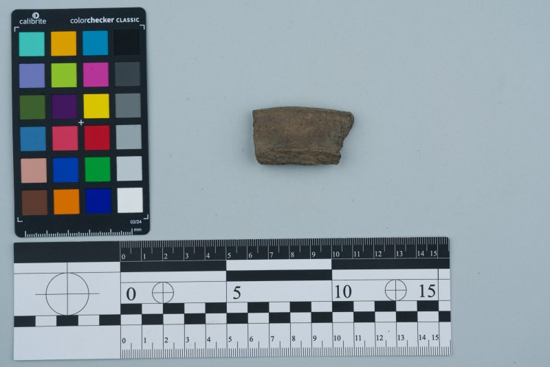 Вінчик посудини