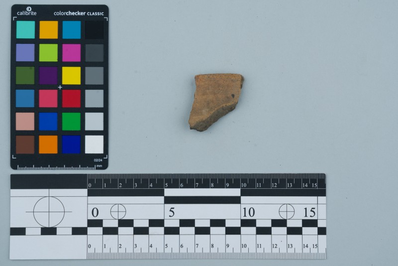 Вінчик посудини