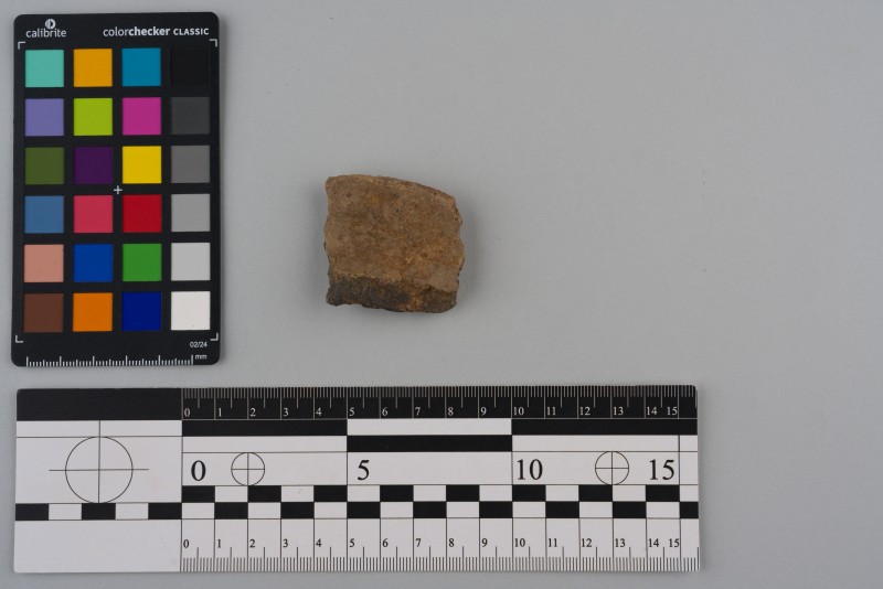 Вінчик посудини