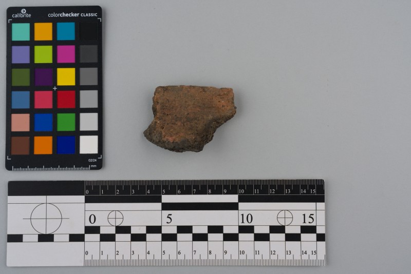 Вінчик посудини