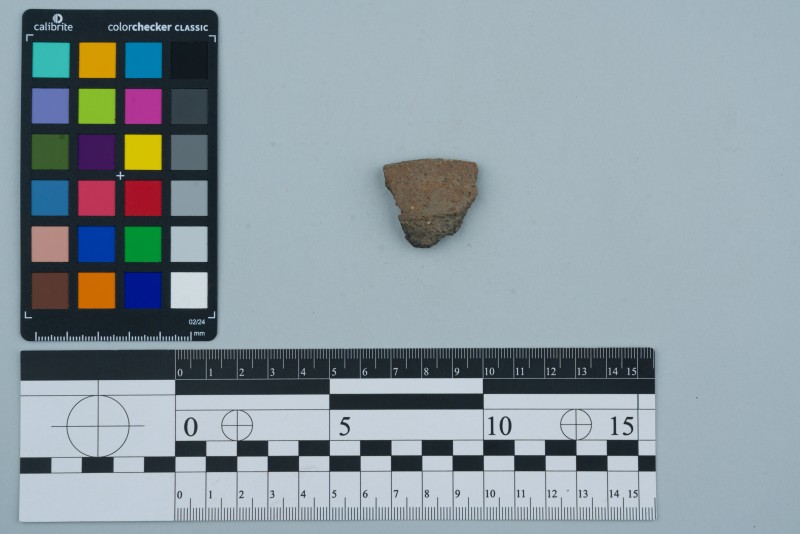 Вінчик посудини