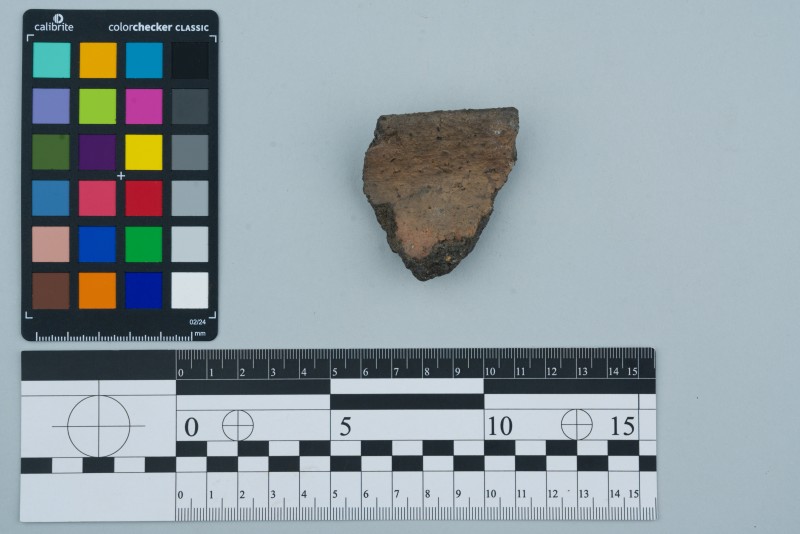 Вінчик посудини