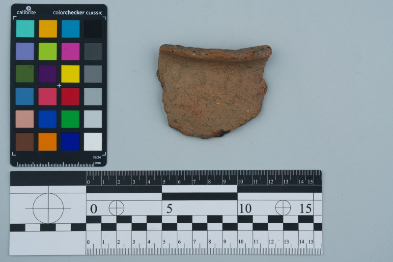 Вінчик посудини