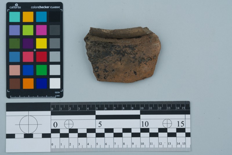 Вінчик посудини