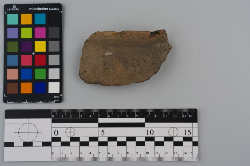 Вінчик посудини