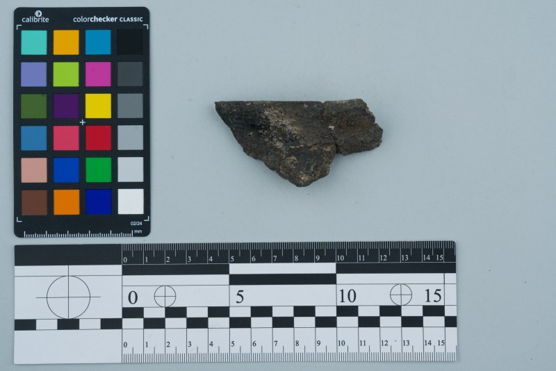 Вінчик посудини