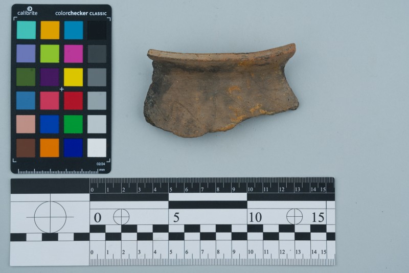 Вінчик посудини