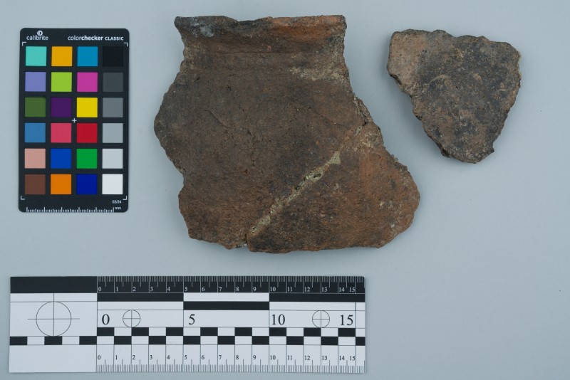 Вінчик посудини